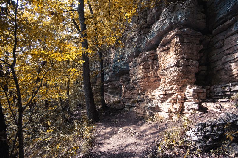 Придуманная осеньphoto preview