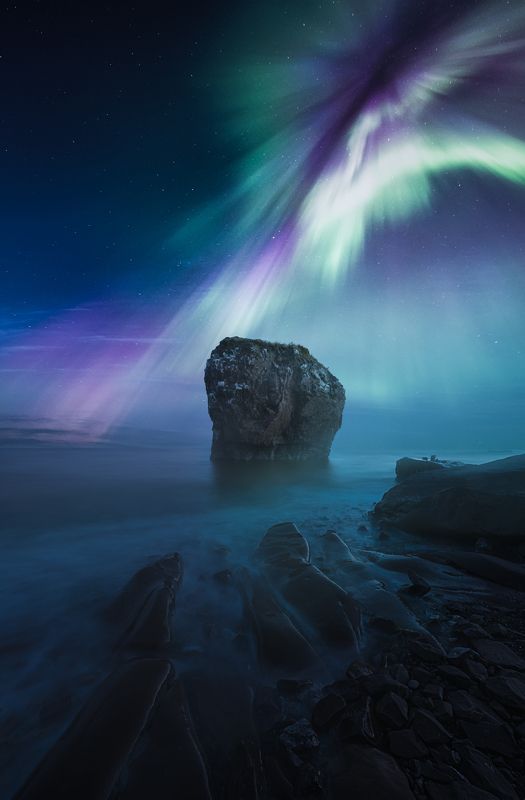 кольский полуостров, кольский, осень, северное сияние, полярное сияние, autumn, kola peninsula,  forest, aurora borealis Белое мореphoto preview