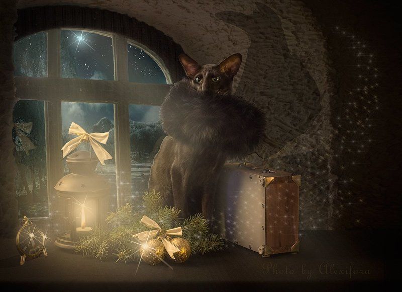 Новогоднее волшебствоphoto preview