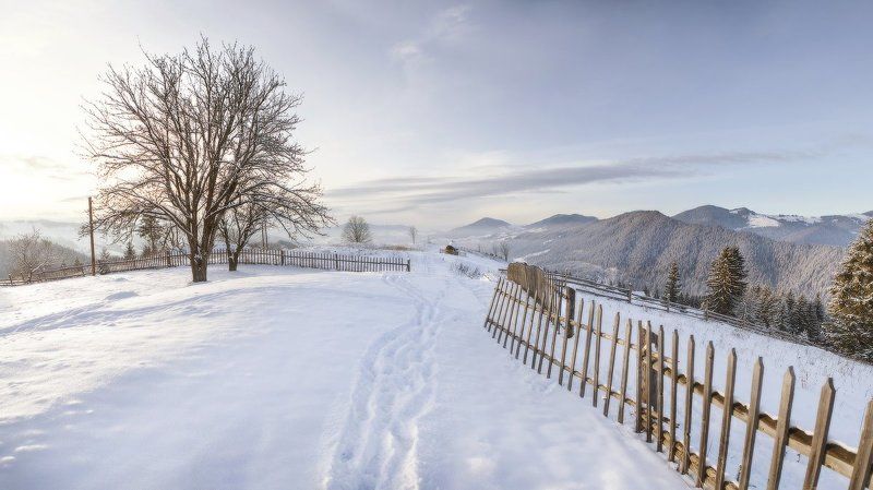 карпаты, горы, зима, снег, пейзаж, природа, панорама, дерево, вечер, украина * * *photo preview