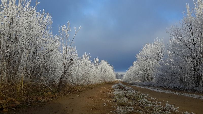 Дарья, Russia