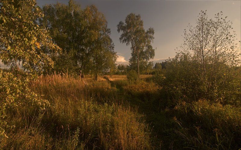 Июльphoto preview