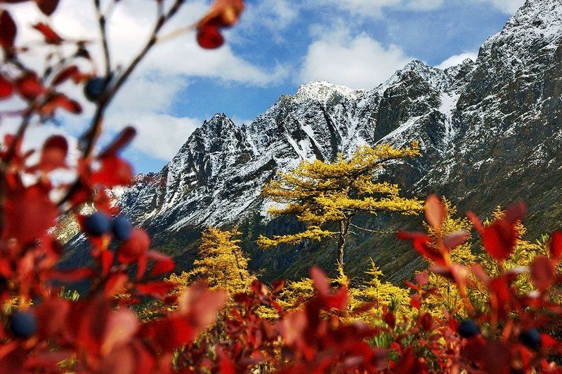 Bp pfhjcktq ujke photo preview