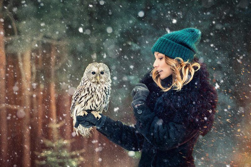 Девушка, лес, сова, снег, зима 2015photo preview