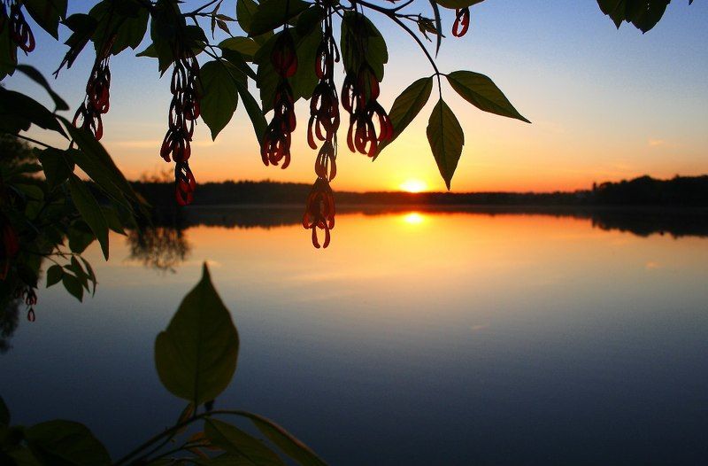 Мария, Russia