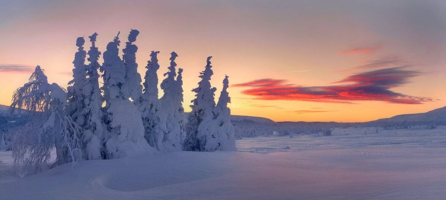 , Сергей Макурин