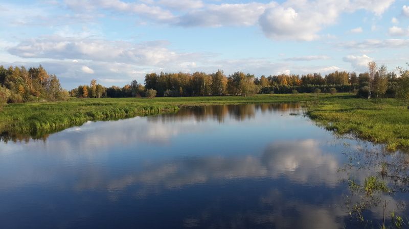Елена, Russia