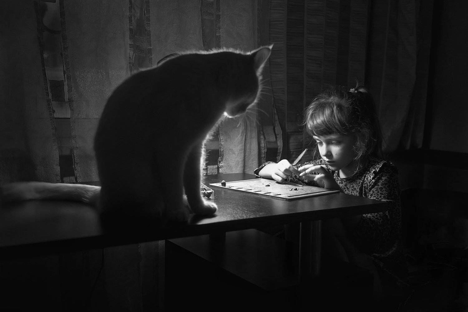 Кот и девочка. Автор: Сидоренко Алексей , Сидоренко Алексей