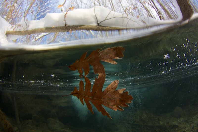 граница, грань, зима, кавказ, лист, осень, подводная съемка, ручей, сплит На граниphoto preview