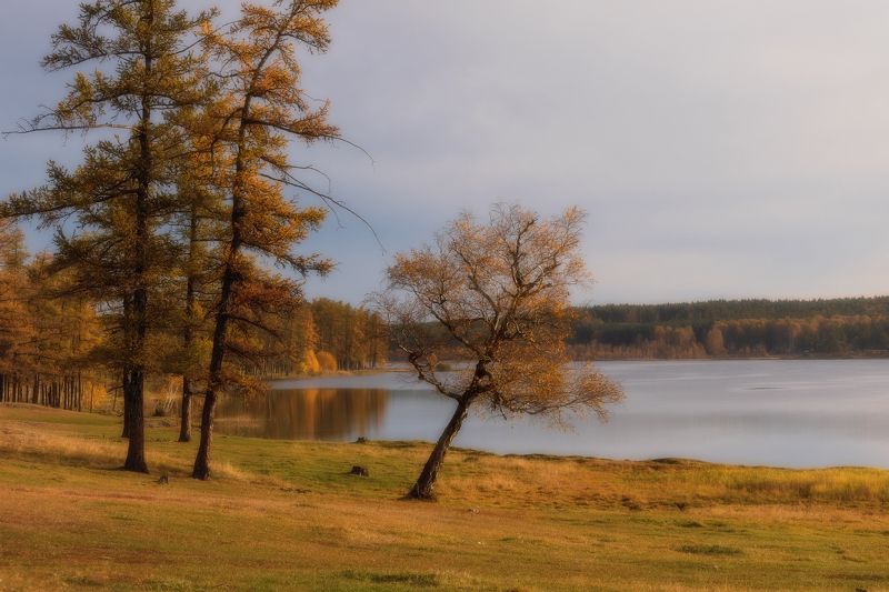 Осенняяphoto preview