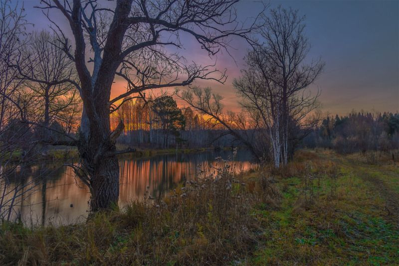 Однажды утром.photo preview