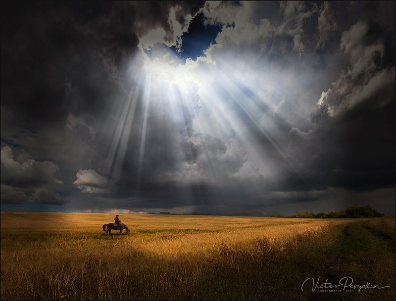 Лучи над полемphoto preview