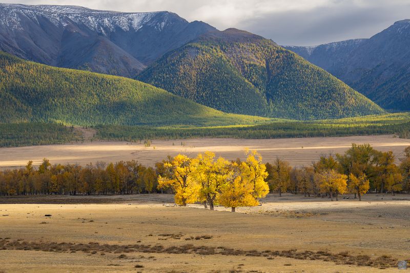 осень алтай россия Осенний Алтайphoto preview