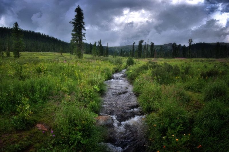 Сибирскими тропамиphoto preview