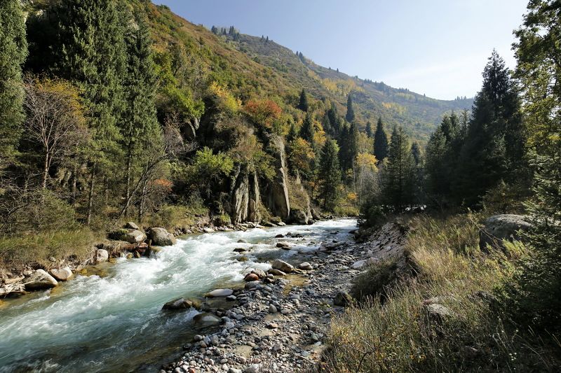 Левый талгарphoto preview