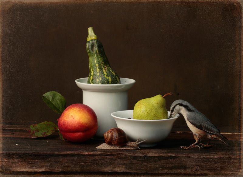 Поползновенияphoto preview