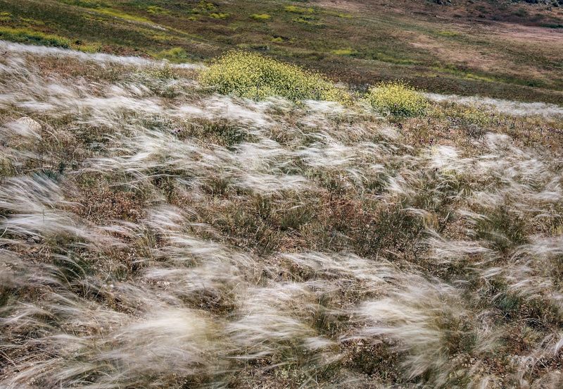 Время ковыляphoto preview