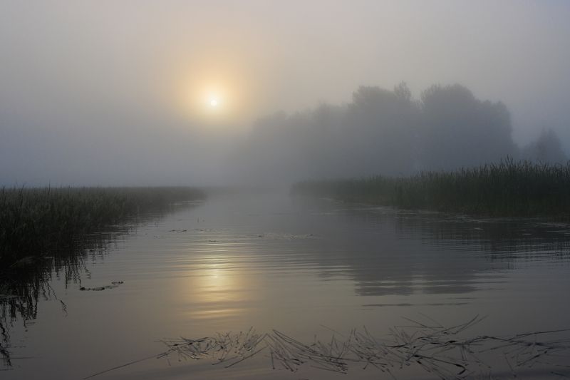 озеро протока вода утро рассвет туман дымка солнце Дорога к солнцуphoto preview