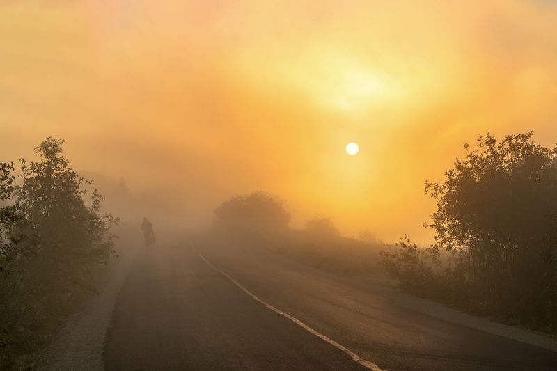 В тумане...photo preview