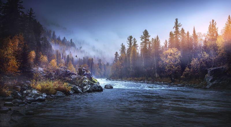 казыр, река, осень, природа, пейзаж, течение, вода, перекаты, пороги. Осень на реке Казыр. Кузбасс фото превью