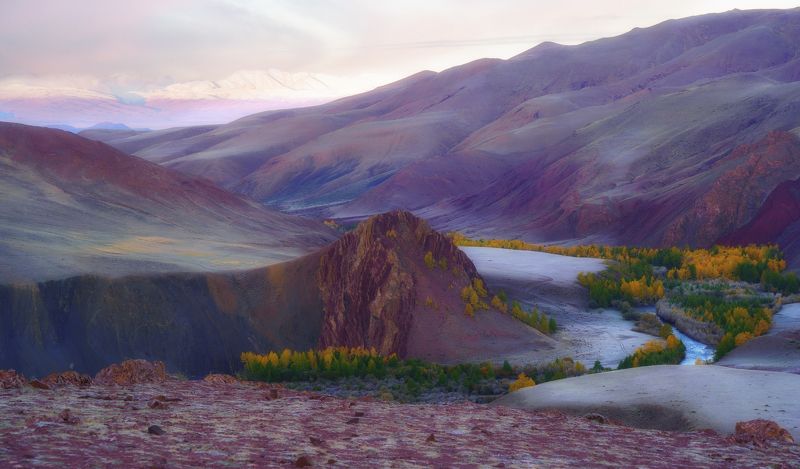 алтай горы рассвет розовый красный осень деревья Красная планетаphoto preview