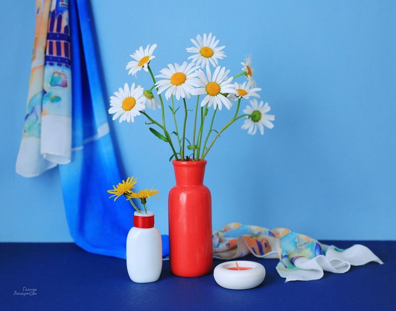 ромашки, разноцветный шарф, синий фон, красная ваза, подсвечник, белый пузырек, букет Ромашки на синемphoto preview