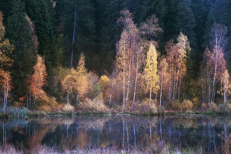 осень, лес, озеро, подмосковье Стали дни холоднееphoto preview