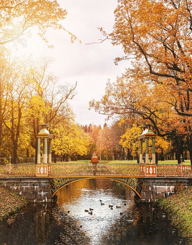 природа, осень, девушка Девушка с чемоданомphoto preview