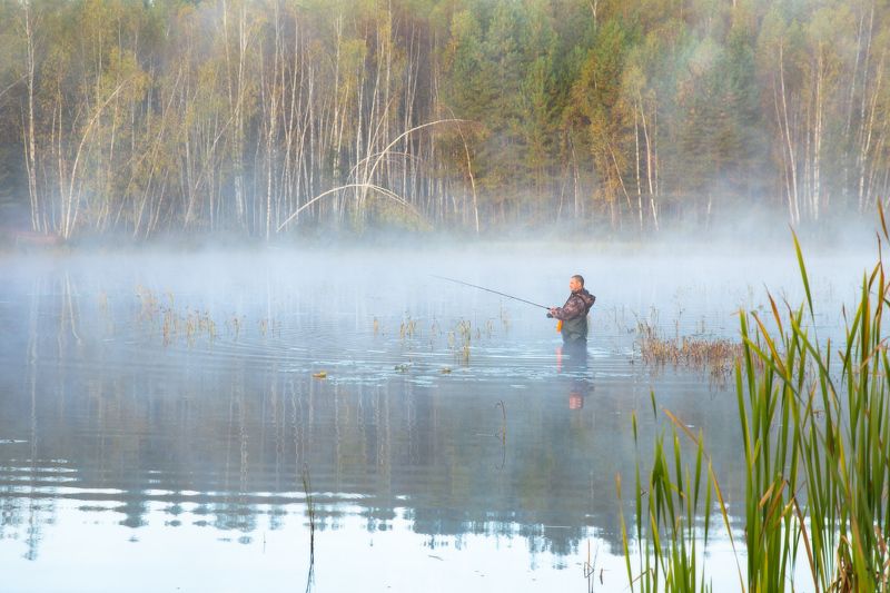 утро туман сентябрь рыбак черная порза серково Будни рыбацкие фото превью