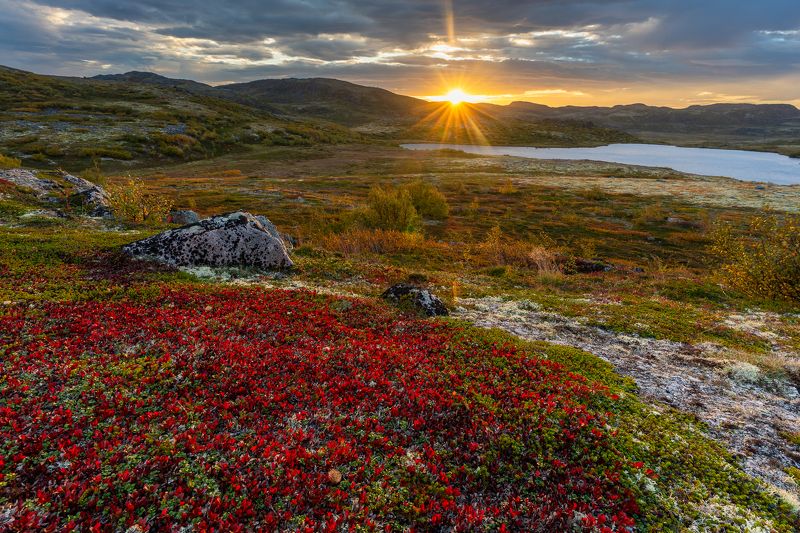 Landscape photo preview