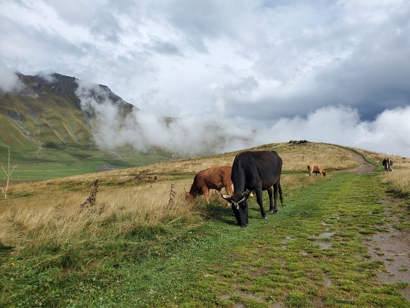 после дождя в горахphoto preview