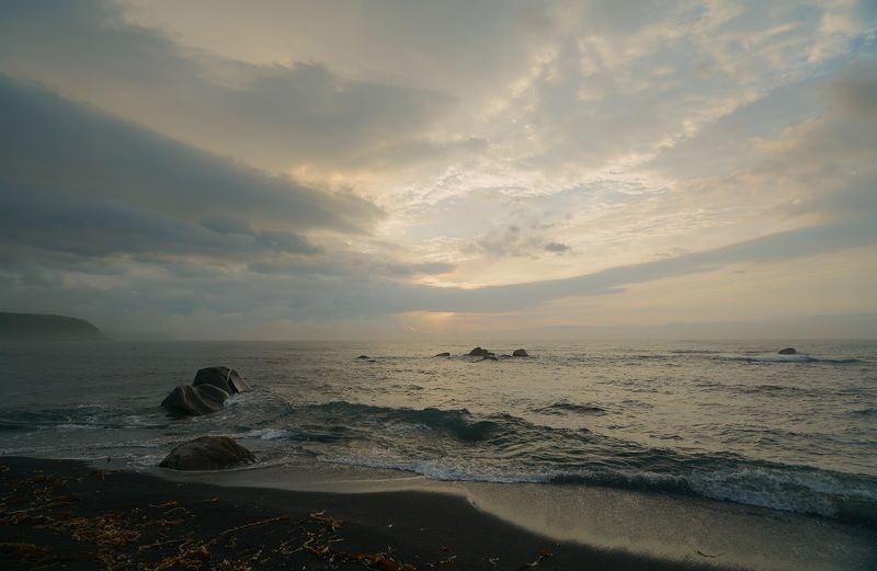 Morningphoto preview