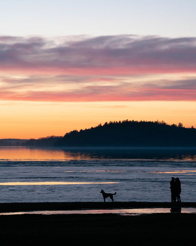 закат, озеро, снег, собака Вечерняя атмосфераphoto preview