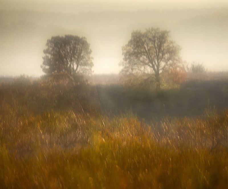 Мечтыphoto preview