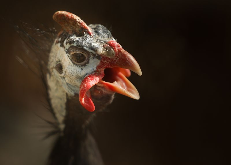 Найди меня!photo preview