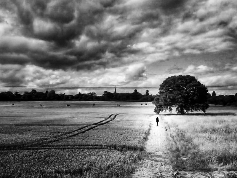 Out of the box фото превью