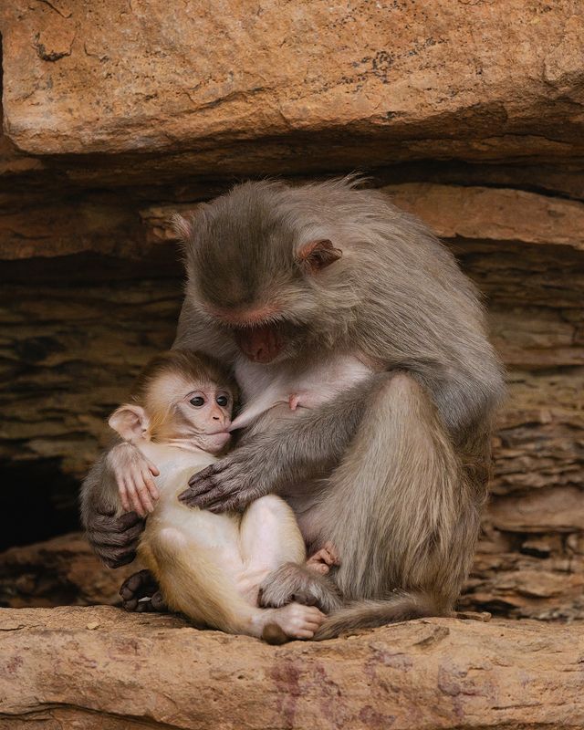 Nature & Wildlifephoto preview