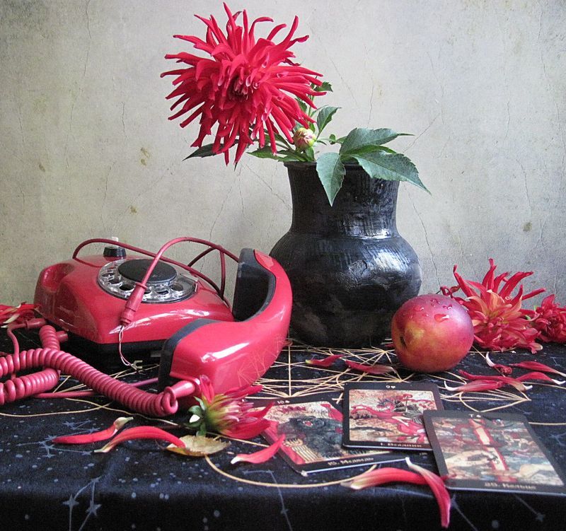 цветы, георгины, персик, крынка, телефон, карты Абонент недоступенphoto preview