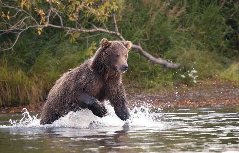 Очаровашка с суровым нравом:)photo preview