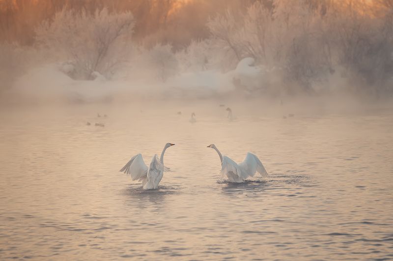 В закатный часphoto preview