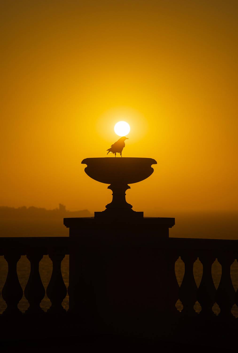 осень, рассвет, пейзаж, солнце, черное море, город, архитектура, митридат гора, большая митридатская лестница, вазон, грач, вороны, золотое, оранжевое, атмосферное, красота, величие, винтажная оптика, мануальное, керчь, крым, россия, Щербак Анатолий