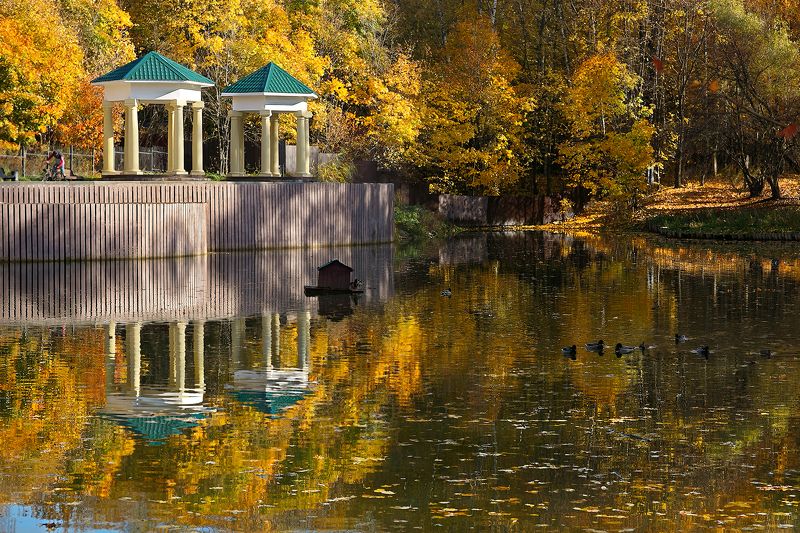 осень, парк, отражение, краски осени, пейзаж Осень, октябрьphoto preview