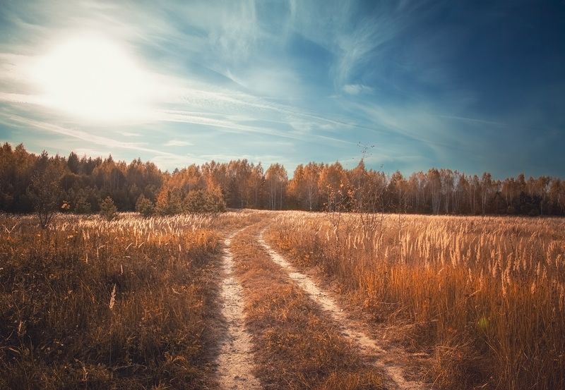 Осень жизни..photo preview