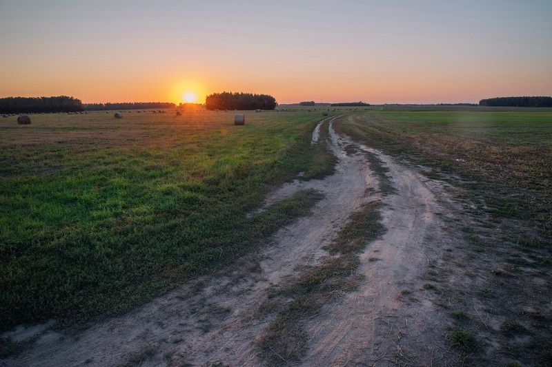 полеphoto preview