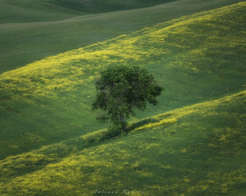 Плюшевые холмы Тосканыphoto preview