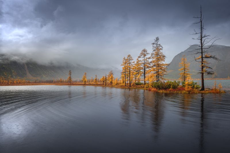 Хмурый день...photo preview