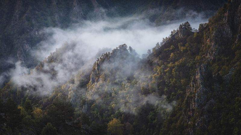 пейзаж, рассвет, горы, туман, облака, кавказ, канжол, приэльбрусье Над облакамиphoto preview