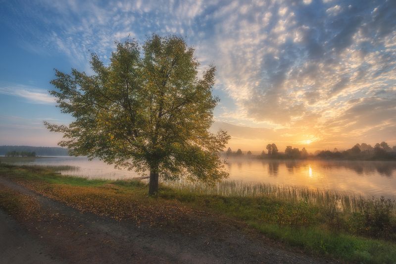 Осенний восход солнцаphoto preview