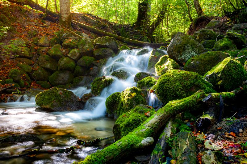 Мельничный ручей, Изборск фото превью