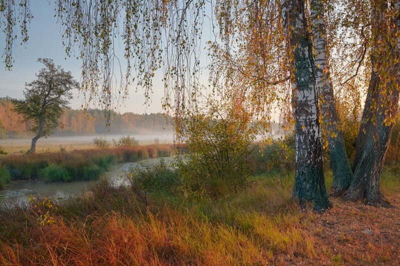 Позолота ... фото превью